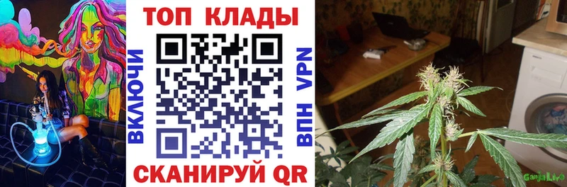 Виды наркоты Гусиноозёрск мега зеркало  Меф  Alpha-PVP  ГАШ  Каннабис 