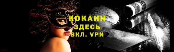 apvp Горняк