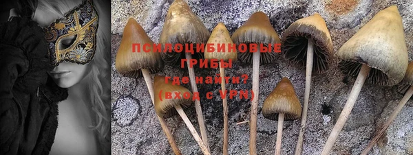 гидра Горнозаводск