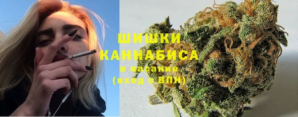 apvp Горняк