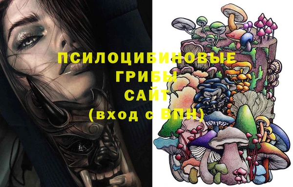 спиды Бутурлиновка