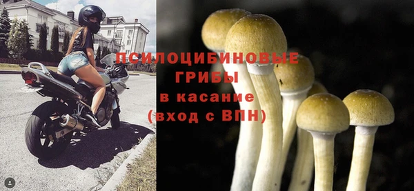 прущий лед Валдай