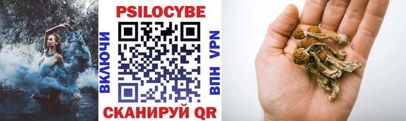 Псилоцибиновые грибы Psilocybe  магазин  наркотиков  Гусиноозёрск 